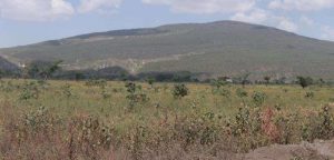 The Ethiopian Rift Valley suffered colossal volcanic eruptions between about 320,000 and 170,000 years ago. Credit: David Pyle 