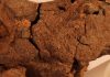 Fossilized dinosaur brain tissue identified for the first time