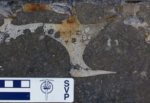 Fossils under your feet