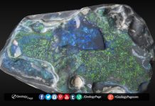 Largest black opal in the world