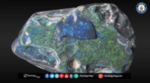 Largest black opal in the world
