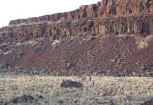 Modeling floods that formed canyons on Earth and Mars