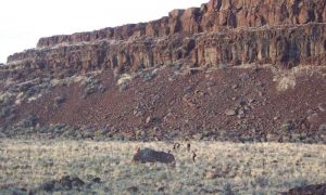 A new model of canyon-forming floods from UMass Amherst and CalTech researchers suggests that deep canyons can be formed in bedrock by significantly less water than previously thought. Credit: UMass Amherst/Isaac Larsen 