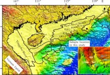 Natural gas hydrate in the foraminifera