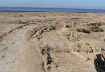 New fault discovered in earthquake-prone Southern California region