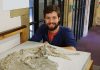 New species of Jurassic reptile identified from skeletal remains