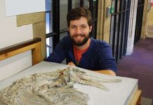 New species of Jurassic reptile identified from skeletal remains