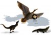 Oldest known squawk box suggests dinosaurs likely did not sing