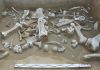 Paleontologists found a big mammoth bones