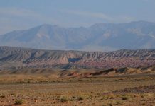 Researchers capture Central Asia’s ‘de-greening’ over millions of years