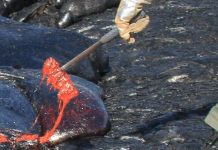 Sampling Molten Lava