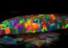 Virgin Rainbow “The most beautiful opal in the world” The Virgin Rainbow opal from the South Australian Museum opal exhibition. Credit: South Australian Museum.