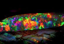 Virgin Rainbow “The most beautiful opal in the world” The Virgin Rainbow opal from the South Australian Museum opal exhibition. Credit: South Australian Museum.