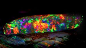 The Virgin Rainbow opal from the South Australian Museum opal exhibition. Credit: South Australian Museum.