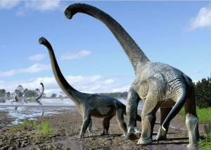 Savannasaurus elliottorum. Credit: Reconstruction by Travis R. Tischler / © Australian Age of Dinosaurs Museum of Natural History