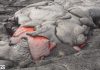 Lava Breakouts, Kīlauea