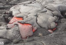 Lava Breakouts, Kīlauea