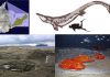 A giant predatory lizard swam in Antarctic seas near the end of the dinosaur age