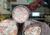 Asteroid impacts could create niches for early life, suggests Chicxulub crater study