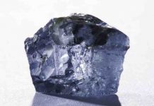 Blue Diamond ‘Worth 10 Millions’ Discovered