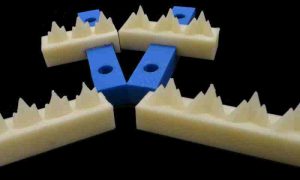 UMass Amherst researchers used 3-D-printed replicas of 200-million-year-old mammal teeth and polymers that mimic insect prey to provide the first laboratory-tested evidence that the ability for teeth to damage prey is a more significant factor driving evolutionary changes in tooth shape. Credit: UMass Amherst/Andrew Conith