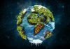 Fossils reveal approaching relocation of plants on Earth