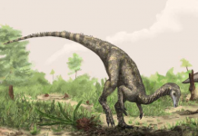 How and why to date a dinosaur
