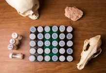 How archaeologist created a prehistoric GPS for tracking ancient humans
