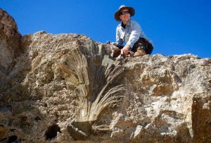 Michael Sandstrom collects samples from corals embedded in an ancient reef in the Cape Range region of Australia. He will use isotopes from the samples to determine the age of the reef to help figure out how sea level rose in the past. Credit: Dan Marone 