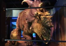 ‘Jurassic World’ comes alive at Philadelphia exhibit