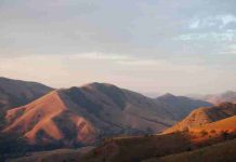 Life took hold on land 300 million years earlier than thought