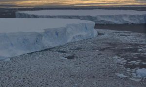 Pine Island Glacier is nearly two thirds the size of the Uk or the size of Texas Credit: James Smith/ British Antarctic Survey 