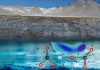 Scientists probe underground depths of Earth’s carbon cycle