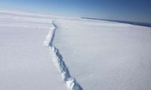  Rift in Pine Island Glacier ice shelf, West Antarctica, photographed from the air during a NASA Operation IceBridge survey flight on Nov. 4, 2016. This rift is the second to form in the center of the ice shelf in the past three years. The first resulted in an iceberg that broke off in 2015. Credit: Credit NASA/Nathan Kurtz. 