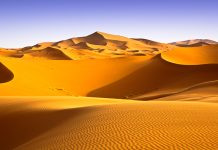 6,000 years ago the Sahara Desert was tropical, so what happened?