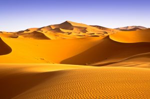 The Sahara desert was once a tropical jungle.