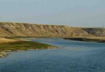 Dinosaur bonebeds and biogeography—what the tiniest fossils tell us about the largest patterns