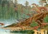 Geoscientists size-up early dinosaurs, find surprising variation