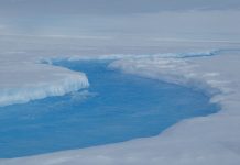 Mysterious ‘crater’ on Antarctica indication of vulnerable ice sheet Meltwater stream inside the crater on the Roi Baudouin ice shelf. Credit: Stef Lhermitte