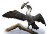 New prehistoric bird species discovered