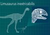 Newly Discovered Dinosaur Species Lost Teeth as Adults