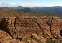 Plate tectonics shift?