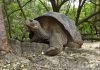 Studying the distant past in the Galápagos Islands