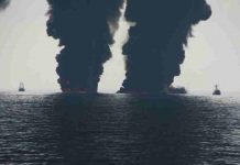 The Deepwater Horizon aftermath