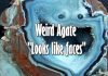 Amazing Weird Agates “Looks like faces”
