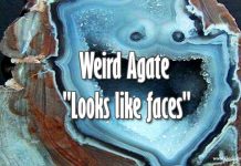 Amazing Weird Agates “Looks like faces”