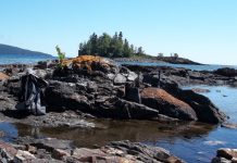 Conditions right for complex life may have come and gone in Earth’s distant past