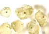 Deep mantle chemistry surprise: Carbon content not uniform