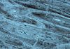 Dino rib yields evidence of oldest soft tissue remains