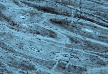Dino rib yields evidence of oldest soft tissue remains
